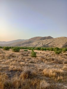 نمایی از دریچه پریشان